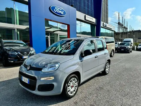 Used FIAT PANDA Petrol 2019 Ad 