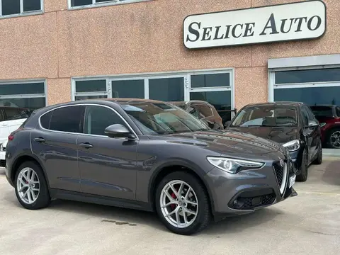 Used ALFA ROMEO STELVIO Diesel 2019 Ad 