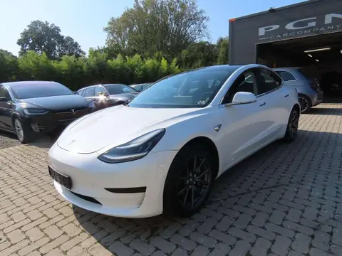 Used TESLA MODEL 3 Electric 2019 Ad 