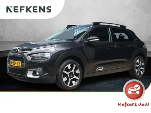 Annonce CITROEN C4 Essence 2019 d'occasion 