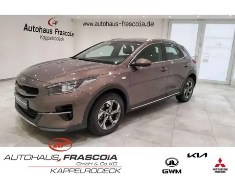 Used KIA XCEED Petrol 2021 Ad 