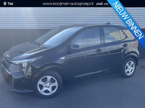 Used KIA PICANTO Petrol 2024 Ad 