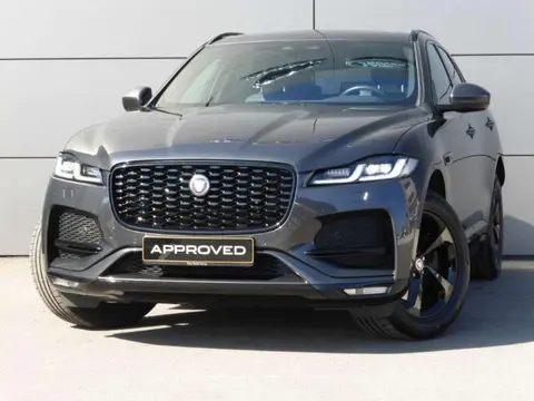 Annonce JAGUAR F-PACE Diesel 2023 d'occasion 