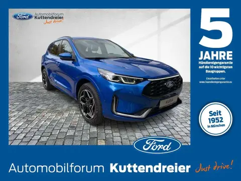 Annonce FORD KUGA Hybride 2024 d'occasion 