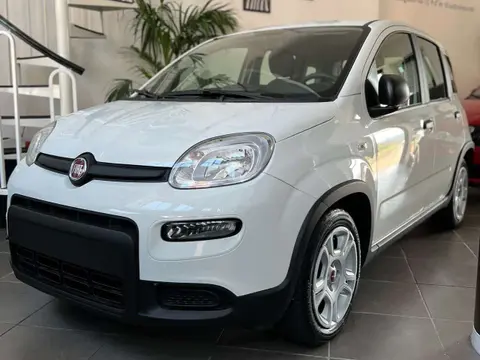 Annonce FIAT PANDA Hybride 2024 d'occasion 