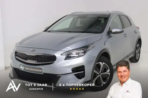 Used KIA XCEED Hybrid 2021 Ad 