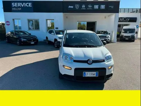 Annonce FIAT PANDA  2023 d'occasion 