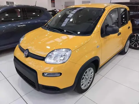 Annonce FIAT PANDA Hybride 2024 d'occasion 