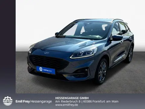 Annonce FORD KUGA Essence 2023 d'occasion 