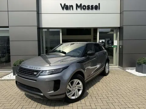 Annonce LAND ROVER RANGE ROVER EVOQUE Hybride 2024 d'occasion 