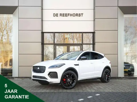 Used JAGUAR E-PACE Hybrid 2024 Ad 