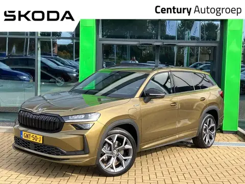 Used SKODA KODIAQ Not specified 2024 Ad 