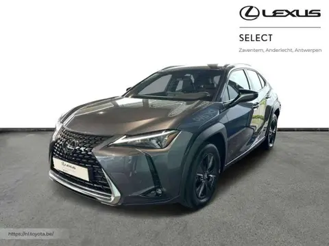 Annonce LEXUS UX Hybride 2023 d'occasion 