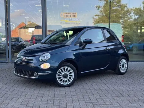 Used FIAT 500 Petrol 2023 Ad 