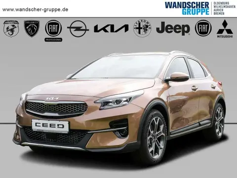 Used KIA XCEED Diesel 2022 Ad 