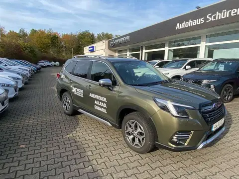 Annonce SUBARU FORESTER Hybride 2024 d'occasion 