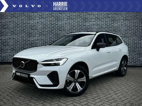 Used VOLVO XC60 Hybrid 2024 Ad 