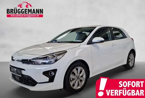 Annonce KIA RIO Essence 2023 d'occasion 