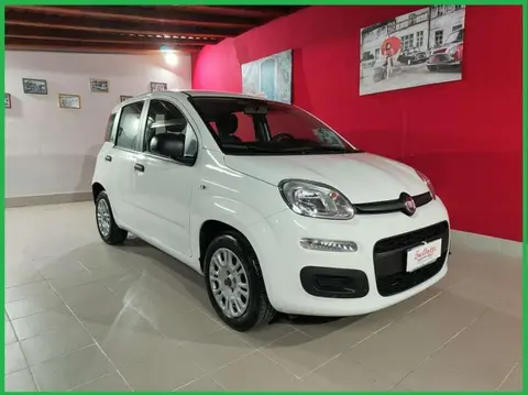 Annonce FIAT PANDA Essence 2020 d'occasion 