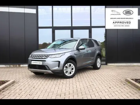 Annonce LAND ROVER DISCOVERY Diesel 2022 d'occasion 