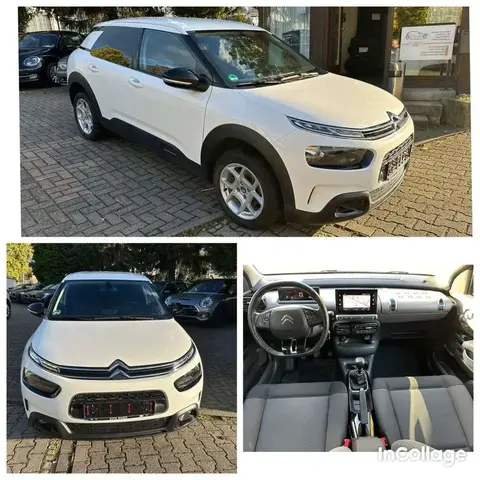 Used CITROEN C4 Petrol 2019 Ad 