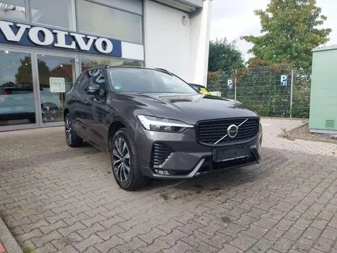 Annonce VOLVO XC60 Diesel 2023 d'occasion 