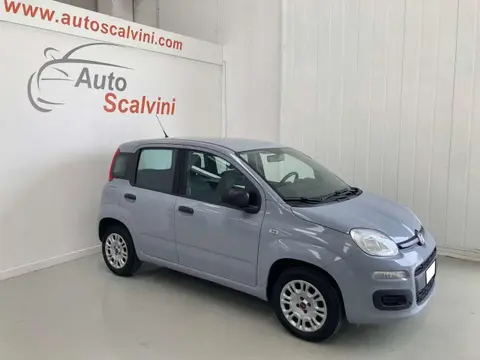 Used FIAT PANDA Petrol 2019 Ad 