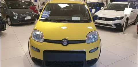 Used FIAT PANDA Hybrid 2024 Ad 