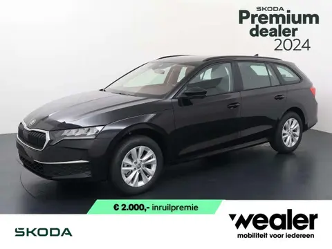 Used SKODA OCTAVIA Petrol 2024 Ad 