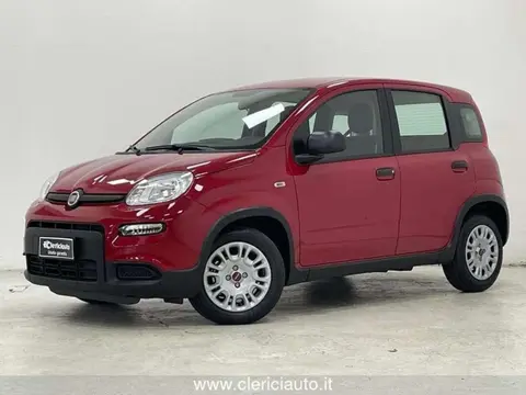 Used FIAT PANDA Petrol 2024 Ad 