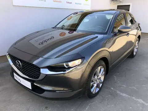 Used MAZDA CX-30 Petrol 2020 Ad 