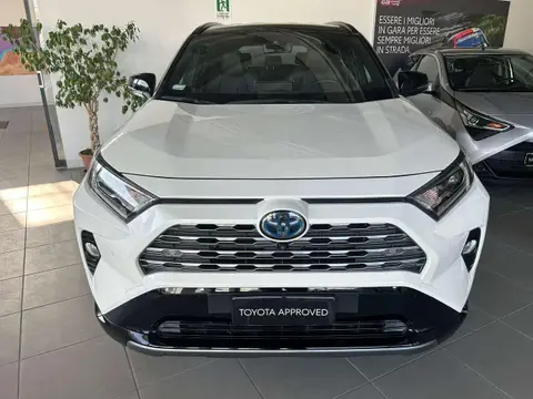 Used TOYOTA RAV4 Hybrid 2019 Ad 