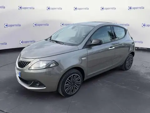 Used LANCIA YPSILON Hybrid 2024 Ad 