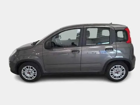 Used FIAT PANDA Hybrid 2023 Ad 