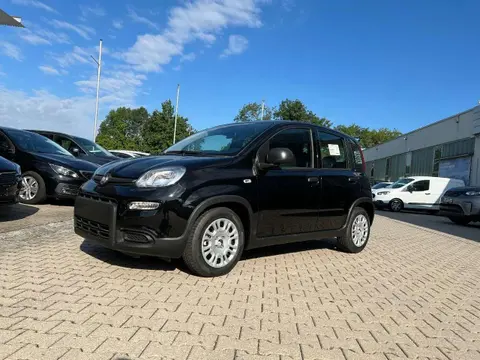 Used FIAT PANDA Petrol 2024 Ad 