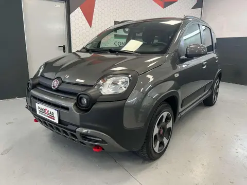 Annonce FIAT PANDA Hybride 2023 d'occasion 