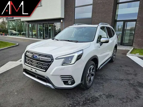 Annonce SUBARU FORESTER Essence 2024 d'occasion 