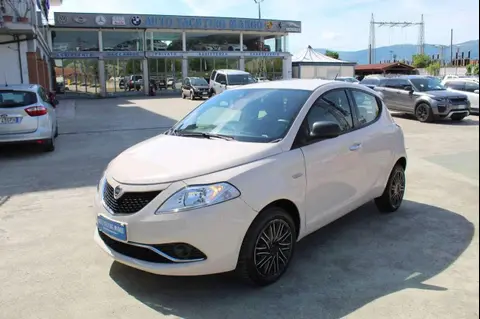 Used LANCIA YPSILON Diesel 2018 Ad 