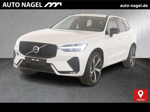 Annonce VOLVO XC60 Essence 2024 d'occasion 