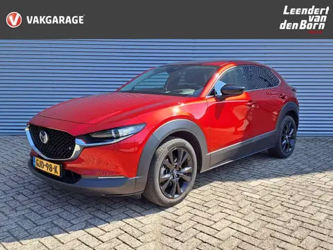 Annonce MAZDA CX-30 Hybride 2022 d'occasion 