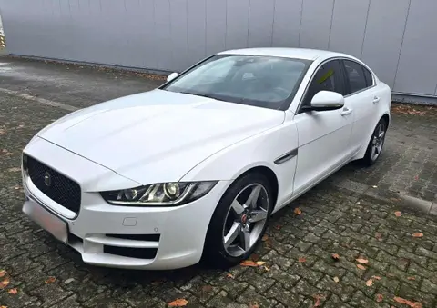 Annonce JAGUAR XE Diesel 2016 d'occasion 