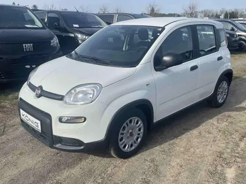 Used FIAT PANDA Petrol 2024 Ad 