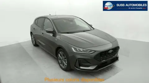 Annonce FORD FOCUS  2024 d'occasion 