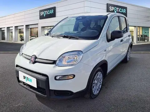 Annonce FIAT PANDA Essence 2024 d'occasion 