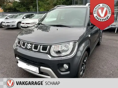 Used SUZUKI IGNIS Petrol 2021 Ad 