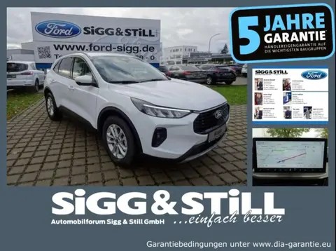 Used FORD KUGA Petrol 2024 Ad 