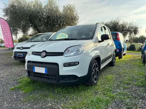 Annonce FIAT PANDA Hybride 2022 d'occasion 