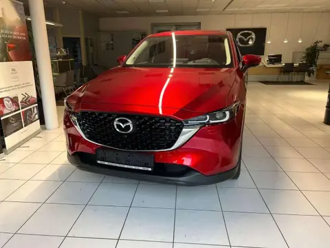 Annonce MAZDA CX-5 Essence 2024 d'occasion 