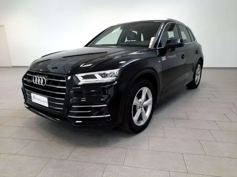 Used AUDI Q5 Hybrid 2019 Ad 