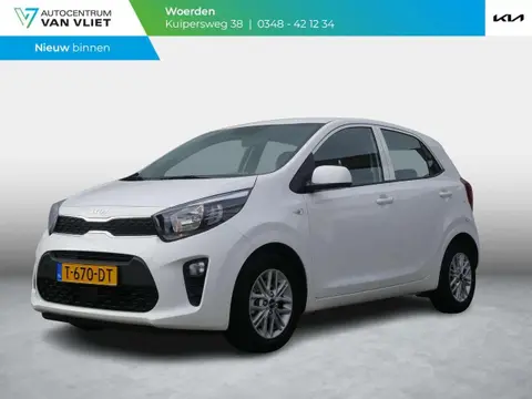 Annonce KIA PICANTO Essence 2023 d'occasion 